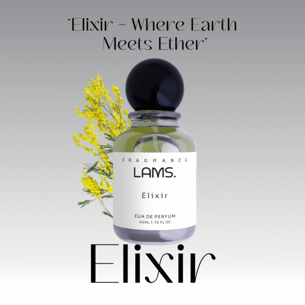 Elixir - Image 2